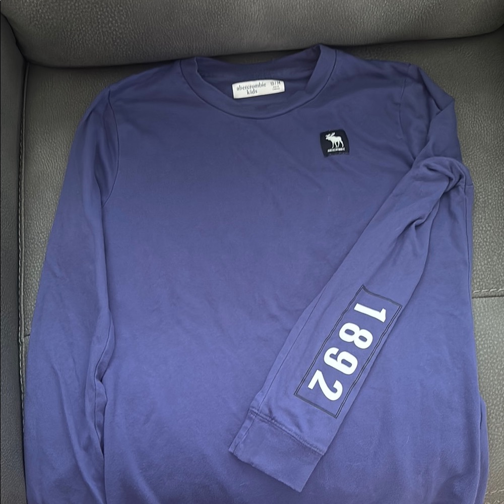 Abercrombie Kids Blue Long Sleeve Tee with Sleeve Print